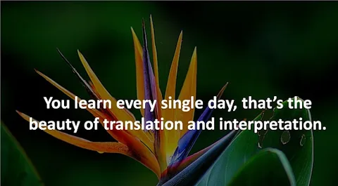 Rivera's Translation and Notary Services