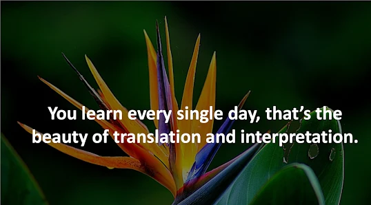 Rivera's Translation and Notary Services